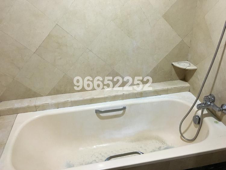 Symphony Heights (D21), Condominium #113675052